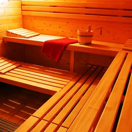 Schneeeule 205 Granzow